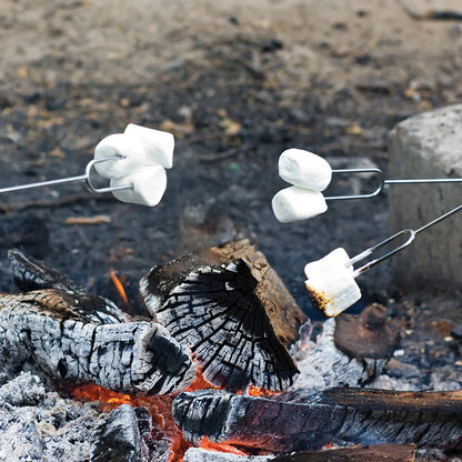 Picnic Forks